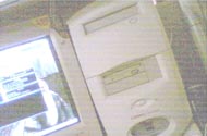 daily image