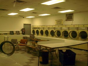 portrait of a field trip