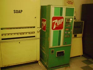 portrait of a field trip