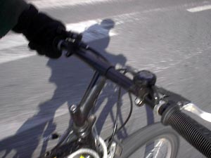 portrait of a field trip