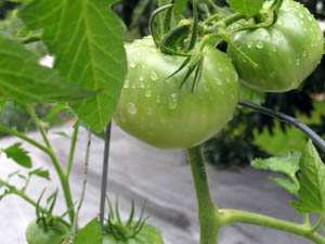 the angry red planet image month 190707