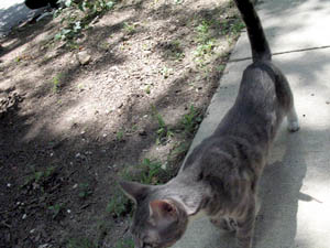 the angry red planet image month 220707