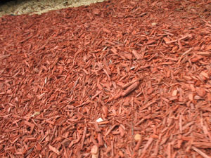 the angry red planet image month 240707