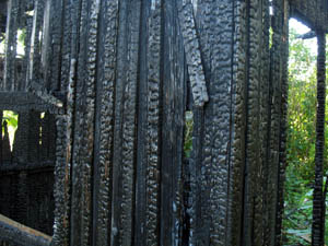 the angry red planet image month