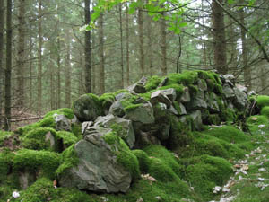 the angry red planet image month