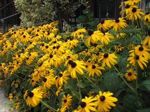 the angry red planet image month 310707